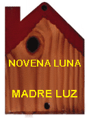 LUNA_LUZ.