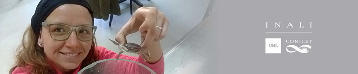Debora de Azevedo Carvalho