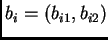 $ b_i= (b_{i1}, b_{i2})$