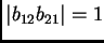 $ \vert b_{12} b_{21}\vert=1$