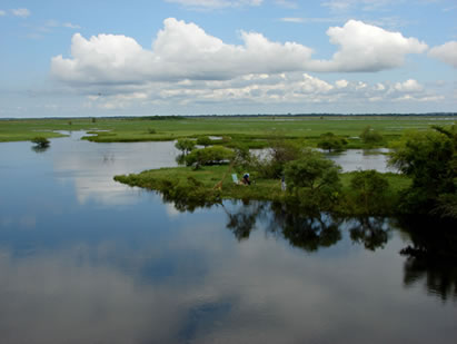 Jaaukanigás