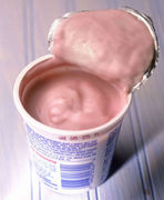 Yogurt probi&oacute;tico